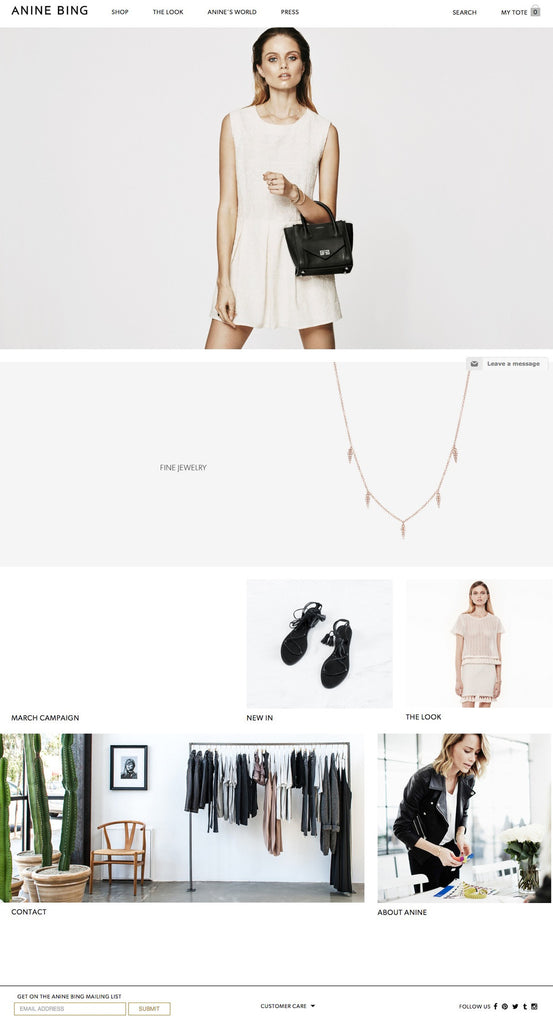 Anine Bing - Home Page Design