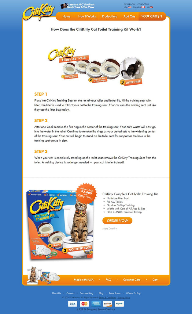 CitiKitty - About Page Design